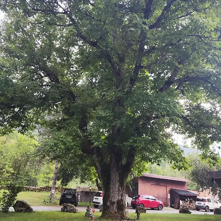 Il Vecchio Mulino * Opi