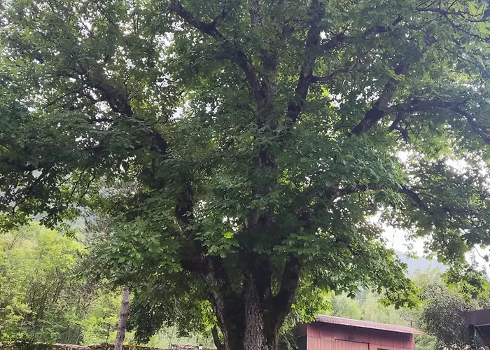 Il Vecchio Mulino * Opi