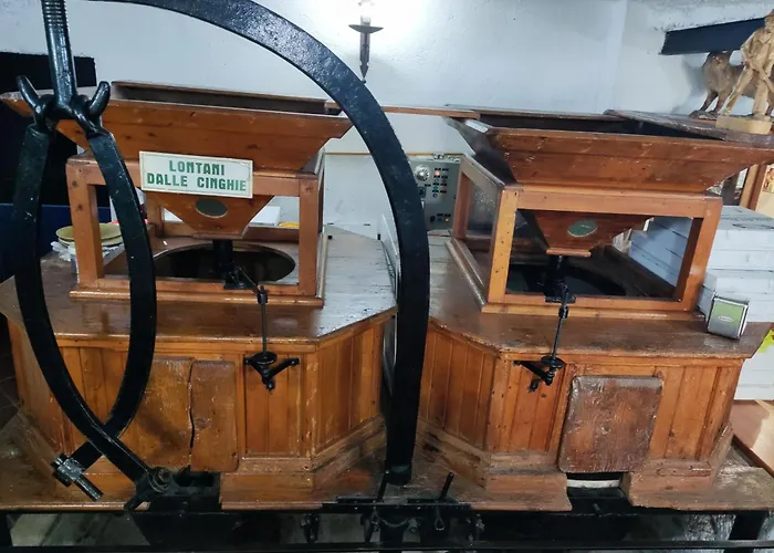 Kamp alanı Il Vecchio Mulino Opi