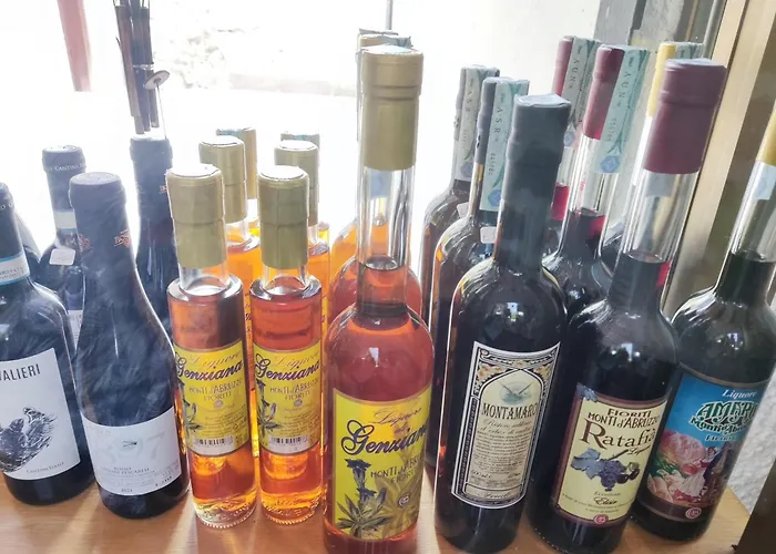 Il Vecchio Mulino Kamp alanı