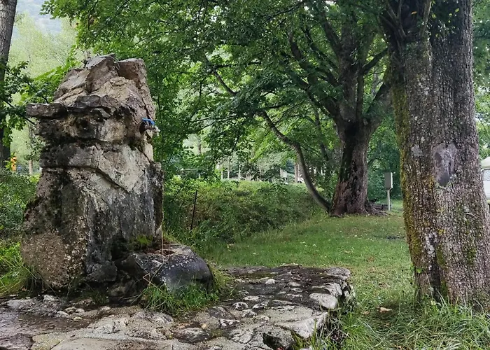 Il Vecchio Mulino Kamp alanı *